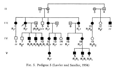 Familial elliptocytosis pedigree diagram